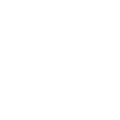 Publicis Groupe