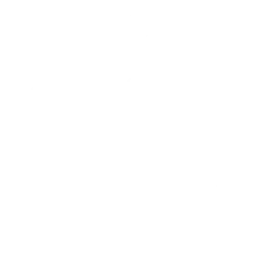 Publicis Groupe