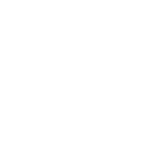 Dubai Holding