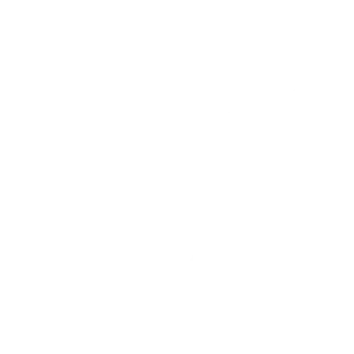 Dubai Holding