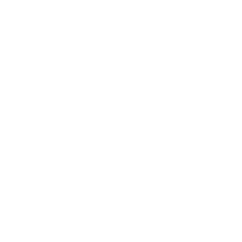 Omnicom Media Group