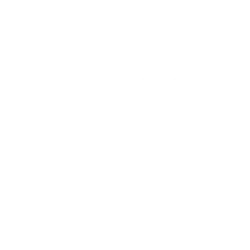 Omnicom Media Group